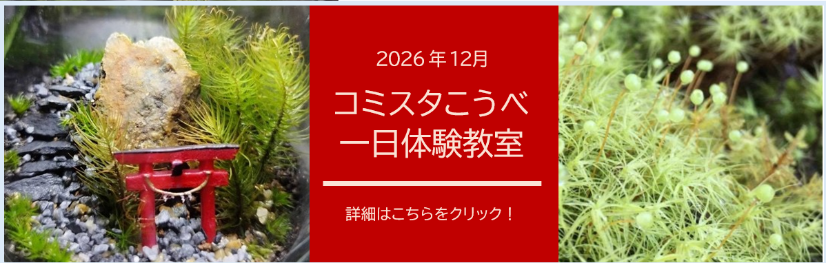 コミスタこうべ12月体験教室