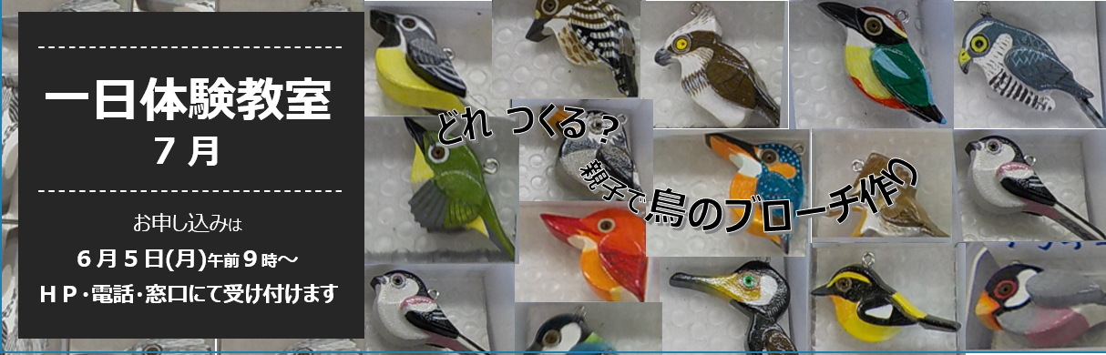 コミスタこうべ7月 1日体験教室