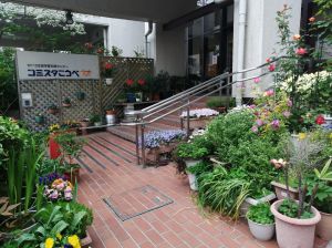 20240425_flowers.jpg
