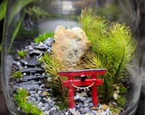 moss.jpg