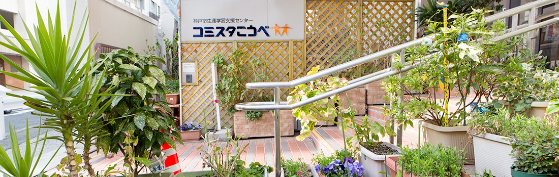 こうべコミスタエントランスの植物