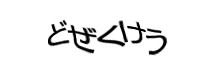 Authentication image