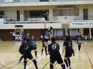 DSC03186.JPG